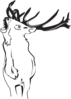 Loud Deer Clip Art